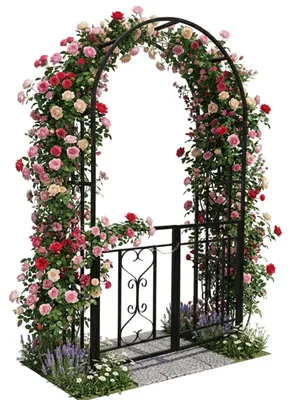Immagine prodotto di Relaxdays Arco per rose in metallo, arco a tutto sesto con porta, A x L x P: 206 x 114 x 50 cm, arco per rampicanti con doppia porta, stile romantico, nero