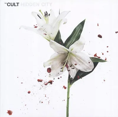 Produktbild von Hidden City - Repress