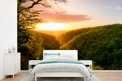Produktbild von MuchoWow® Fototapete für Wohnzimmer oder Schlafzimmer Wandtapete Vinyl Motivtapete Sonnenaufgang im Söderåsen-Nationalpark in Schweden - 450x300 cm - Gemusterte