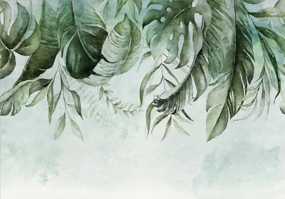 Immagine prodotto di Carta da parati fotografica in tessuto non tessuto foglie 450x315 cm carta da parati murale XXL natura piante botanica verde come dipinto b-C-0782-a-a