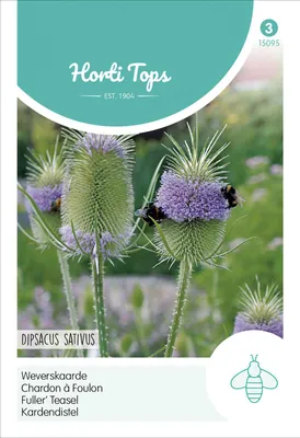 Produktbild von Kardendistel | Blumensamen von Hortitops