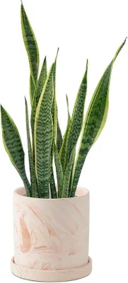Produktbild von Famanu Blumentopf mit Untersetzer - Terracotta Pflanzer mit Drainageloch