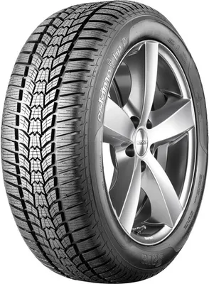 Immagine prodotto di Sava Wi car-tyres Eskimo HP2 ( 205/55 R16 91H )