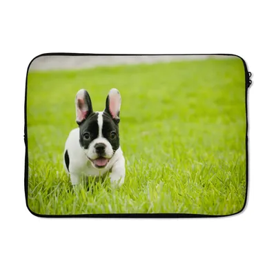 Produktbild von MuchoWow® Laptop Hülle 14 ZollFranzösische Bulldogge - Welpe - Gras Laptoptasche - Laptoptasche - Stoßsicher - Schutzhaube