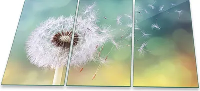 Produktbild von Herdabdeckplatte Abdeckung Glaskeramikfeld Abdeckplatte 3-Teilig 90x52 Pusteblume Glas