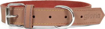 Obrázek produktu pro Obojek pro psy Gloria Oasis Brown 40 cm (40 x 1,5 cm)