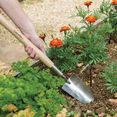 Produktbild von Langschaufel - Blumenschaufel aus rostfreiem Stahl für das Pflanzen in erhöhten Blumenbeeten mit einem Griff aus Eschenholz, Länge 60 cm