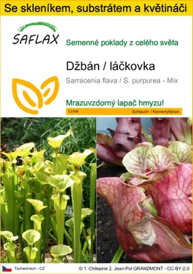 Obrázek produktu pro SAFLAX Kultivační sada - džbán / láčkovka - Sarracenia flava / S. purpurea - Mix - 10 Semena - S mini skleníkem, pěstebním substrátem a 2 květináči