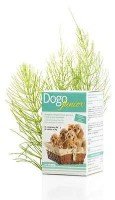 Image de Dogoteka - DogoJunior - 60 pièces   Soutient les tendons, les ligaments et les articulations - avec des moules à lèvres vertes