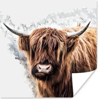 Produktbild von MuchoWow® Poster Schottisches Hochlandrind - Schottische Kuh 75x75 cm - Wand Dekoration