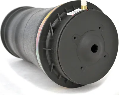 Image de Suspension pneumatique Arnott Ressort pneumatique pour Mercedes GL, ML classe X164 arrière