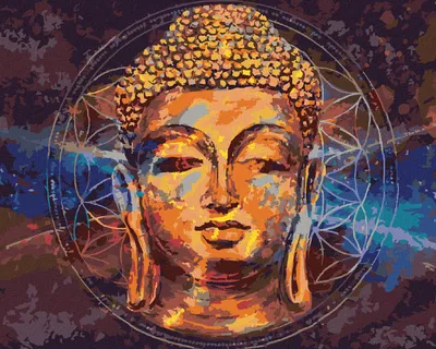 Produktbild von Zuty - Malen nach Zahlen - STERN BUDDHA, 40x50 cm, ohne Keilrahmen