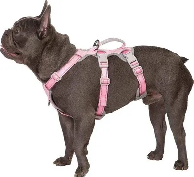 Produktbild von Famanu Hundegeschirr für mittelgroße Hunde - Vollständig reflektierend und verstellbar