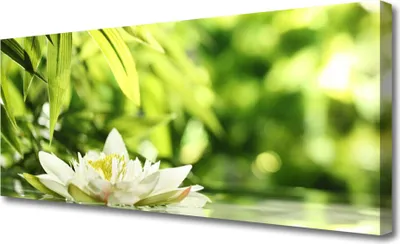 Produktbild von Tulup Leinwand-Bilder 125x50 Wandbild Canvas Kunstdruck Blume Blätter Pflanzen