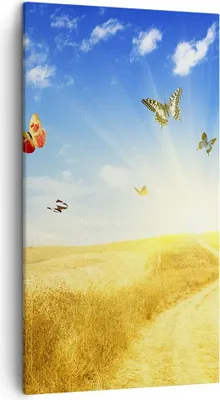 Produktbild von Bild auf Leinwand - Leinwandbild - Schmetterlinge Wiese Gras - 45x80cm - Wand Bild - Wanddeko - Leinwanddruck - Bilder - Kunstdruck - Wanddekoration - Leinwand bilder - Wandkunst - PA45x80-0517