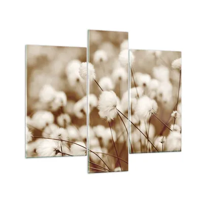 Produktbild von Bilder auf glas - 3 Teile - Baumwolle Boho Wollig - 95x80cm - Glasbilder - Wandbilder - Bilder - zum Aufhängen bereit - Wanddekoration aus Glas - Glas Bilder - Wandbild auf Glas - GCB95x80-4850