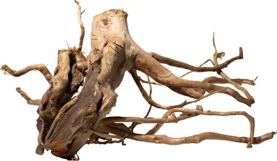Produktbild von Stoffels Spiderwood - Rote Moorwurzel für Aquarien