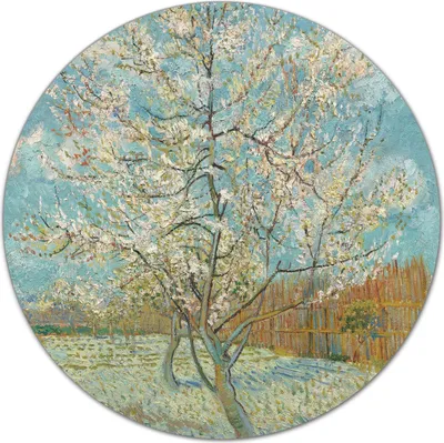 Produktbild von Glas-Herdabdeckplatte Glaskeramikkochfeld-Abdeckung Schneideplatten - 40 cm - Frühlingsbaumkunst