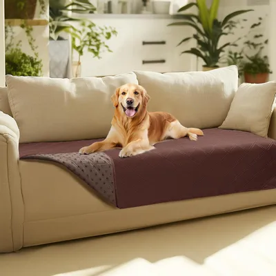 Immagine prodotto di Coperta impermeabile per cani con rivestimento antiscivolo