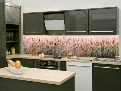 Obrázok produktu pre Dimex fototapety do kuchyne, samolepiace KI-260-136 Pšenica 60 x 260 cm