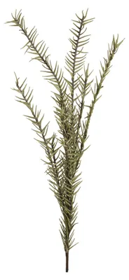 Imagen del producto de EUROPALMS, rama de romero artificial, color verde (82531064)