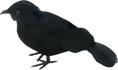 Produktbild von Halloween-Dekoration „Schwarze Krähe“, realistische gefiederte Krähe, Requisite, künstliche Rabenvögel für Hof, Baum, Garten, Terrasse, drinnen und draußen, Halloween-Dekoration