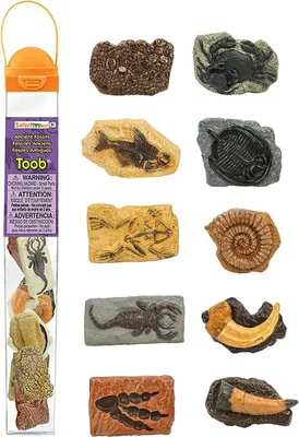 Immagine prodotto di Safari 684804 Fossili Toob Mini Figure da Gioco - Set