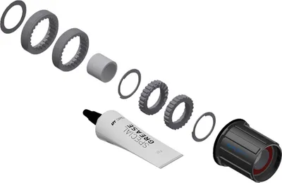 MTB Shimano 11-fach. Hybrid-Ausführung, 18 Zähne, Stahl - DT Swiss Service-/Upgrade-Kit Ratchet LN