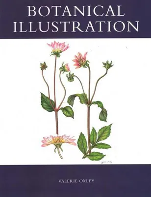 Produktbild von Botanical Illustration