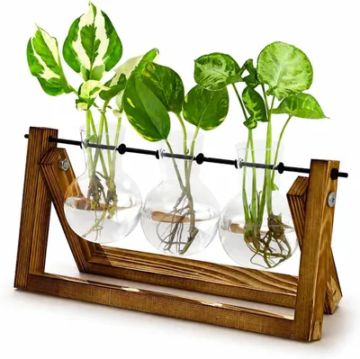 Productafbeelding van Plantenvermeerstation met Houten Standaard 3 Glazen Vazen voor Waterplantengroei en Woondecoratie