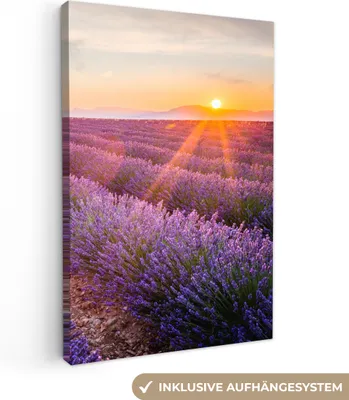 Zdjęcie produktu dla MuchoWow® - Obraz na płótnie - Lawenda - Zachód słońca - Kwiaty - Fioletowy, obraz na ścianę, dekoracja ścienna do salonu, 20x30cm
