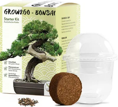 A bonsai starter kit box with a picture of a bonsai tree, a clear plastic container with a lid, and a compressed soil disc.