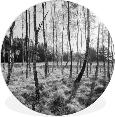 Produktbild von MuchoWow® Rundes Wandbild - Runde Bilder Europa - Bäume - Wald - Schwarz - Weiß Ø 30 cm Kreis Wanddekoration Kunststoff - Wandkreis - Wandschmuck - Schlafzimmer - Bilder - Der Kreis - Kunst für die Wohnung - Plastik - Kunstdruck - Wandbild