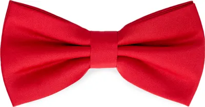Produktbild von Ladeheid Elegante Herren Fliege - Hochwertig Matt Verstellbar BMM (12cm x 6cm)