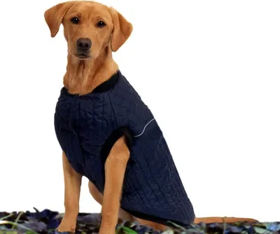 Immagine prodotto di Weatherbeeta Cappotto Puffer per cani WB744 (25cm) (blu navy)