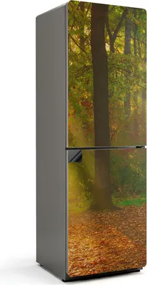 Produktbild von Zauberhafte Waldlandschaft – Magnetische Kühlschrank Abdeckung – Dekorfolie magnetisch Küche – Kühlschrank Magnet Deko – selbstklebende Magnettafel – Magnetfolie für Kühlschranktür – 60x180 cm