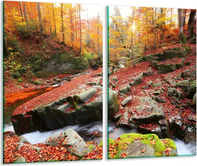 Produktbild von Herdabdeckplatten 2 teilig 30x52 Glaskeramikfeld Abdeckung Glas Landschaft