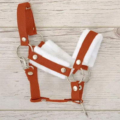 Image de Licol et longe alezan pour hobby horse