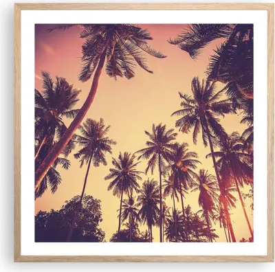 Produktbild von Gerahmtes Poster - Rahmen in heller Eiche - Palmen Himmel Sonne - 60x60 cm - Wand Bild - Wanddeko - Wandbilder - Wandposter - Bilderrahmen - Bilder - Kunstdruck - Wandbild - P2NAC60x60-4220