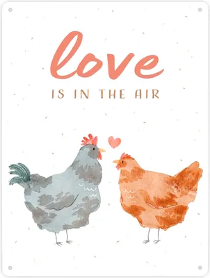 Produktbild von Hühner Metallschild XXL in 28x38 cm mit Spruch Love is in the air