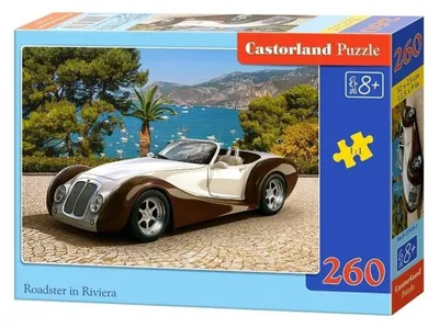 Image de Puzzle 260 pièces Bolid 27538
