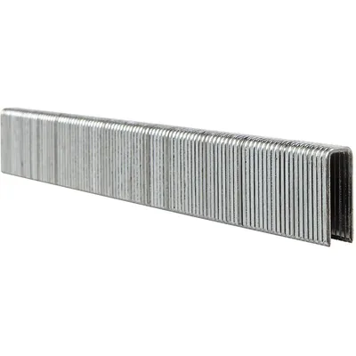 A strip of metal staples is shown against a white background.
