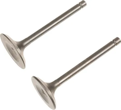 Obrázek produktu pro Loncin LC7500I LC7000I ventily ORIGINÁLNÍ DÍL 500550063-0001