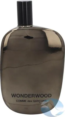 A perfume bottle with a black cap and a metallic gray body.