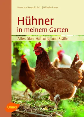 Produktbild von Hühner in meinem Garten