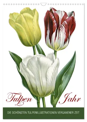 Produktbild von Tulpen - Jahr (Wandkalender 2027 DIN A3 hoch), CALVENDO Monatskalender
