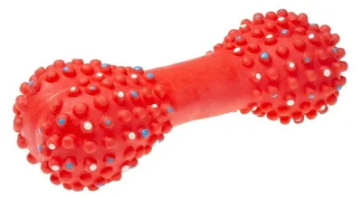 Zdjęcie produktu dla Piszcząca kość z kolcami dla psa 16,7 cm mix kolorów