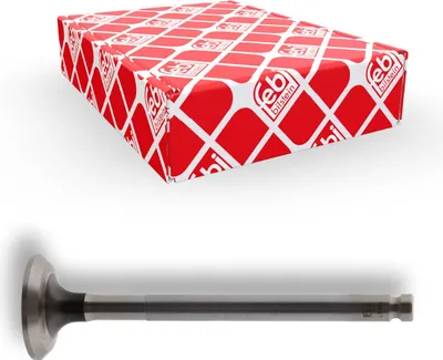 Obrázok produktu pre Febi Bilstein výstupný ventil  19891