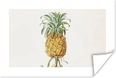 Produktbild von MuchoWow® Poster Ananas - Pflanze - Lebensmittel 60x40 cm - Schlafzimmerdekoration