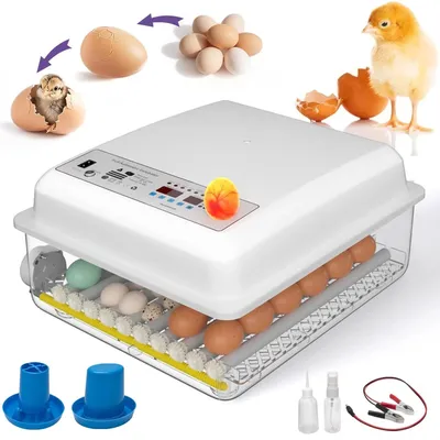 Obrázek produktu pro Plně automatický inkubátor na 36 vajec, inkubátor s displejem pro vlhkost a teplotu, líhnička pro slepice, husy, kachny, holuby a křepelky